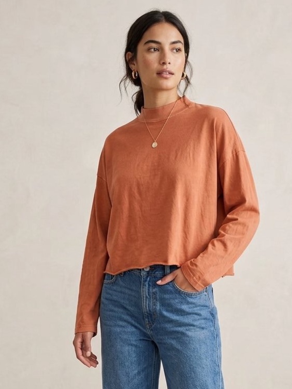 aerie Cropped Mock Neck Rust Long Sleeve Top - Medium